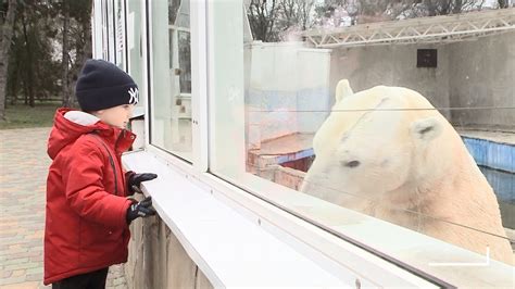что происходит в ростовском зоопарке